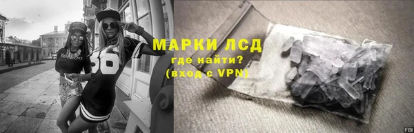 сатива Гусь-Хрустальный