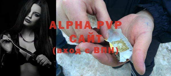 сатива Гусь-Хрустальный
