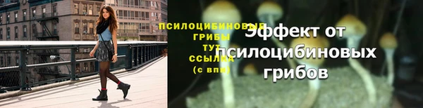 мескалин Гусиноозёрск