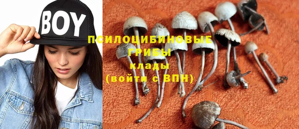 мескалин Гусиноозёрск