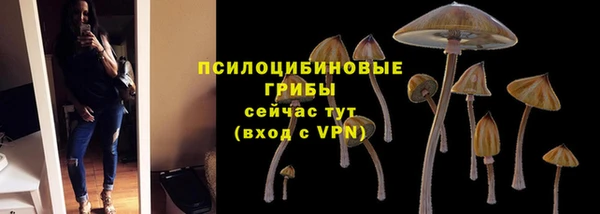 сатива Гусь-Хрустальный