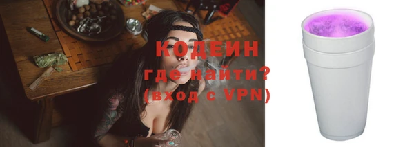 сатива Гусь-Хрустальный