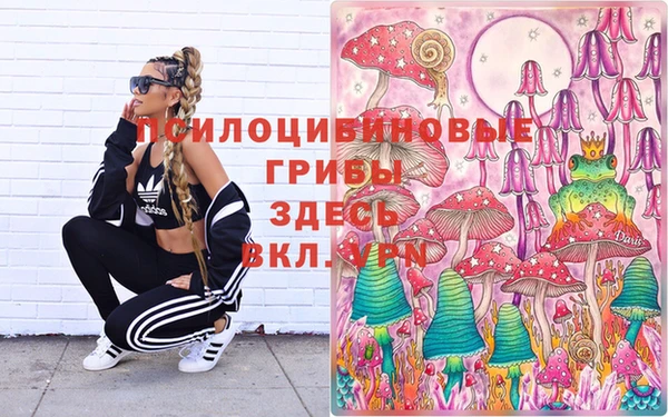 мескалин Гусиноозёрск