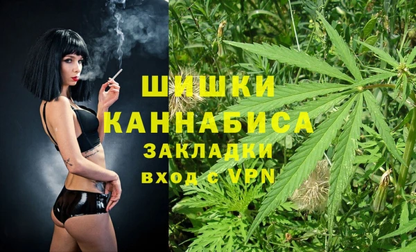 сатива Гусь-Хрустальный