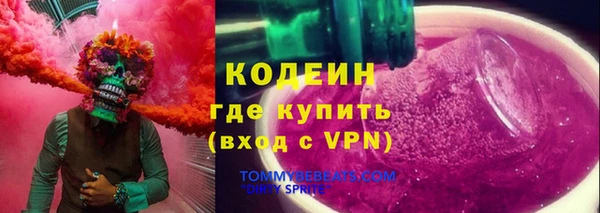 сатива Гусь-Хрустальный