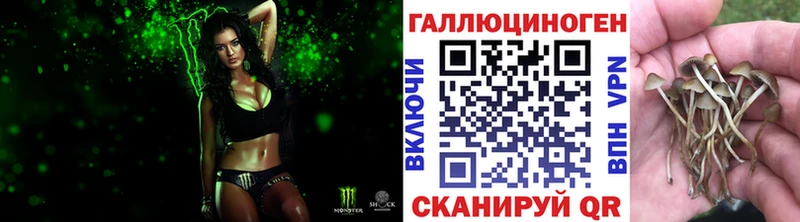 Псилоцибиновые грибы Cubensis Купить Реж