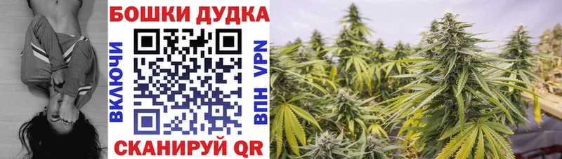 Марихуана планчик  Купить закладки  Реж 